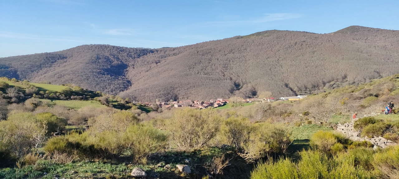 WhatsApp Image 2026-04-08 at 07.40.51